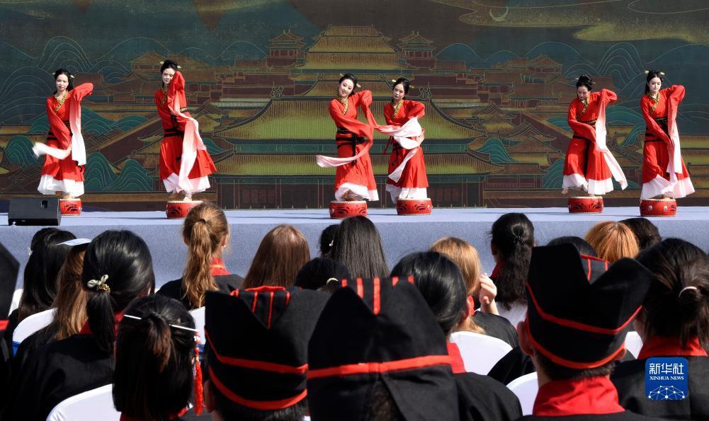 五龙争霸在线下载